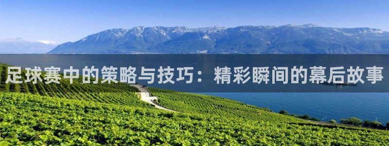 足球赛中的策略与技巧：精彩瞬间的幕后故事