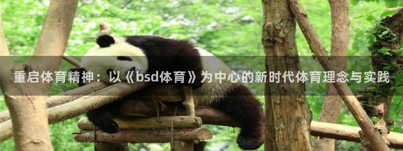 重启体育精神：以《bsd体育》为中心的新时代体育理念与实践