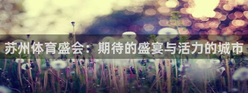 苏州体育盛会：期待的盛宴与活力的城市