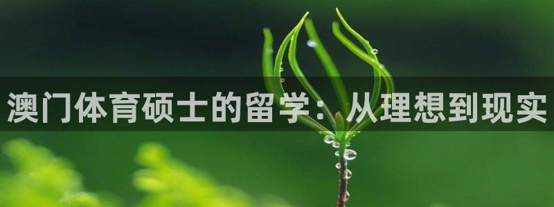 澳门体育硕士的留学：从理想到现实