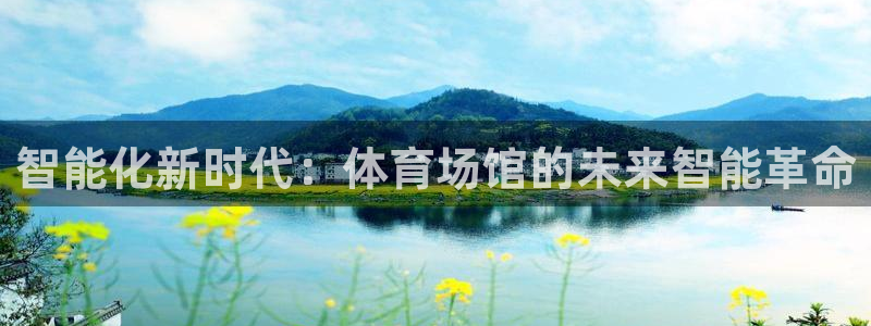 智能化新时代：体育场馆的未来智能革命