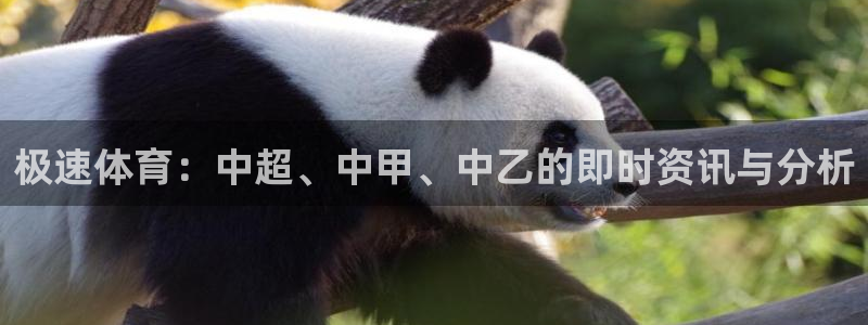 178体育直播app下载入口官网
