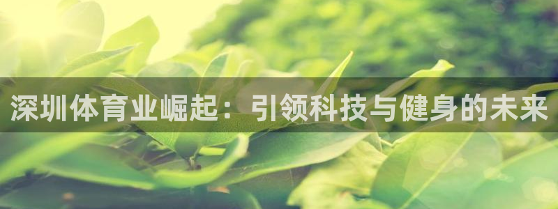 178体育旧版直播有啥不同：深圳体育业崛起：引领科技与健身的未来