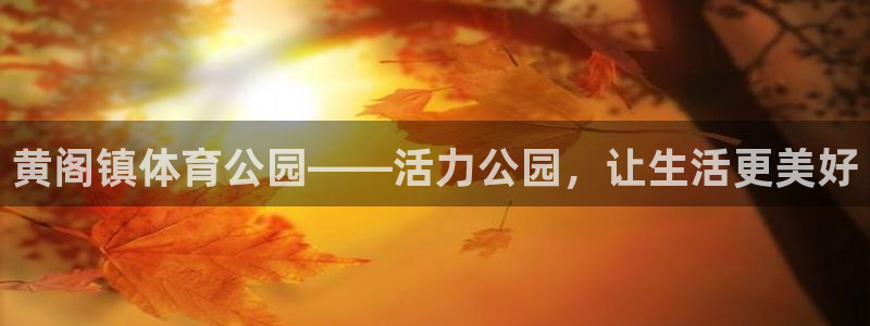 178足球体育直播：黄阁镇体育公园——活力公园，让生活更美好