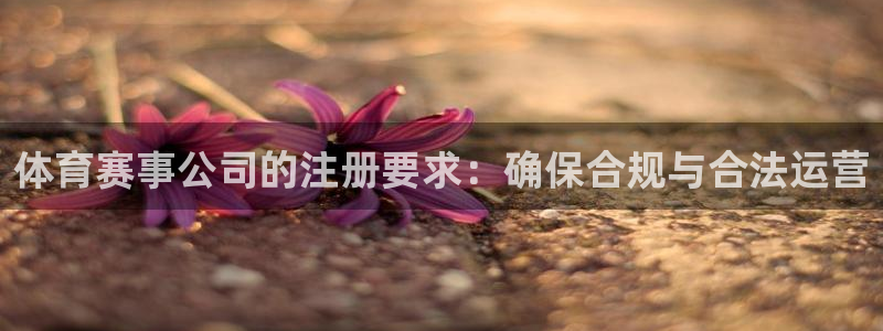 178足球篮球直播：体育赛事公司的注册要求：确保合规与合法运营